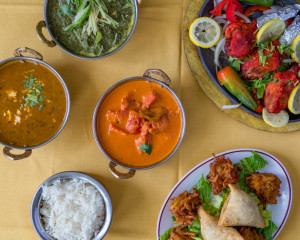 Ekta Indian Cuisine University City Gallery