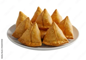 Vegetable Samosa