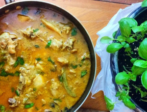Basil Coconut Chicken