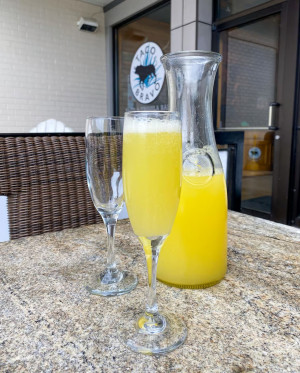 Mimosa