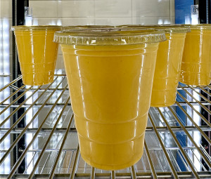 Mango Lassi 12oz