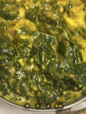 Tofu Saag Vegan